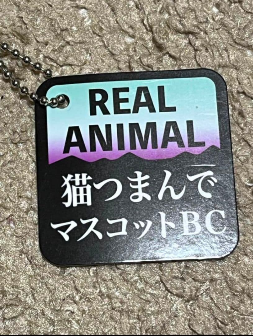 猫つまんでマスコットBC　猫　ぬいぐるみ　猫つまんで　マスコット　リアルアニマル