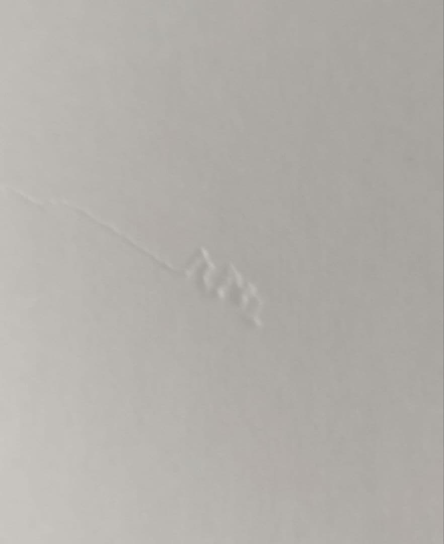 ジグソーパズル　ジョジョの奇妙な冒険 part3 スターダストクルセイダース