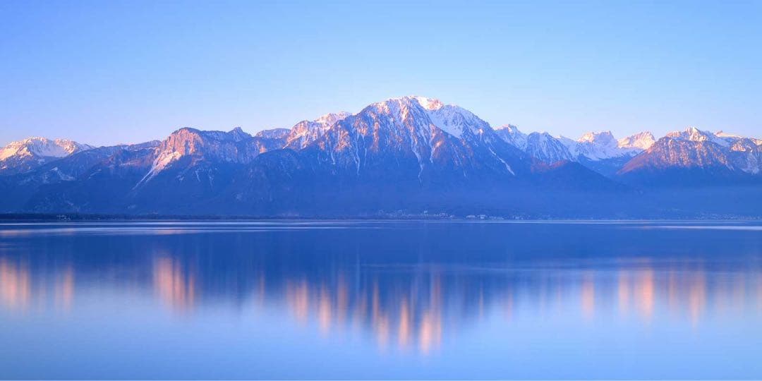 セリュラー　アドバンスバイタルマスク（クリームパック）30ml