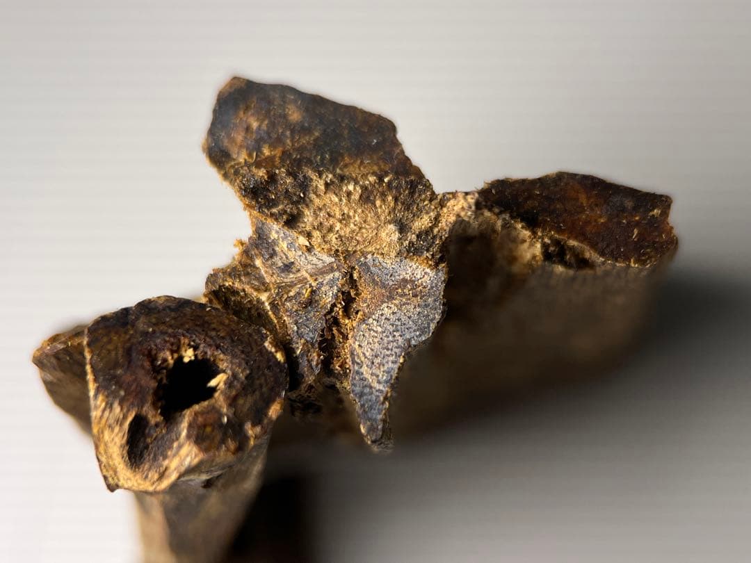 お香 天然沈香 六国五味聞香用 伽羅 香木 4-S-10.255