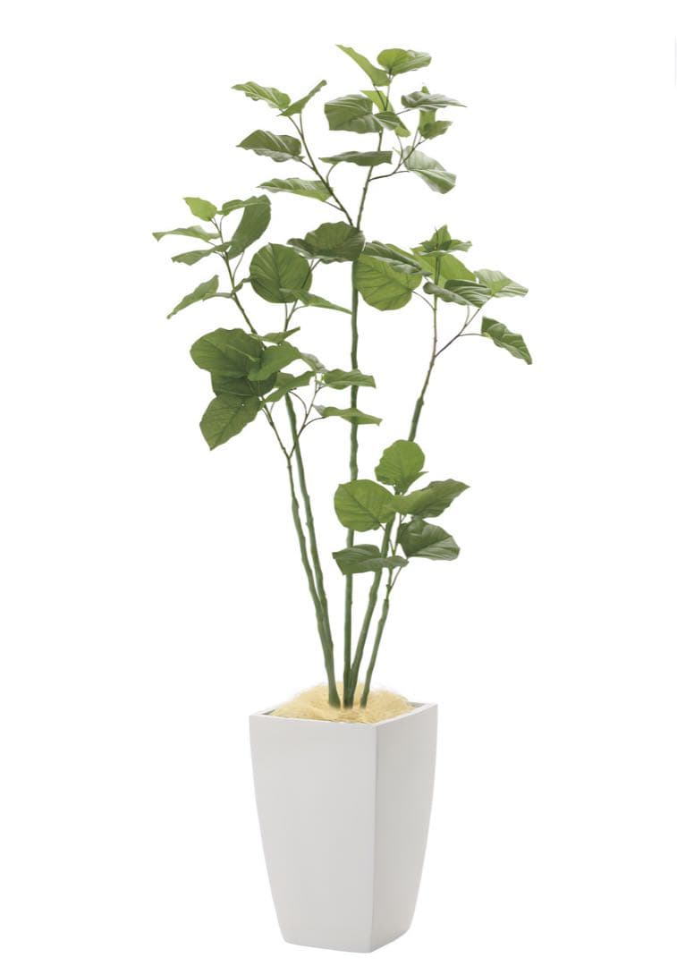 光触媒　人工観葉植物　フェイクグリーン　アーバンブランチウンベラータ1.8m