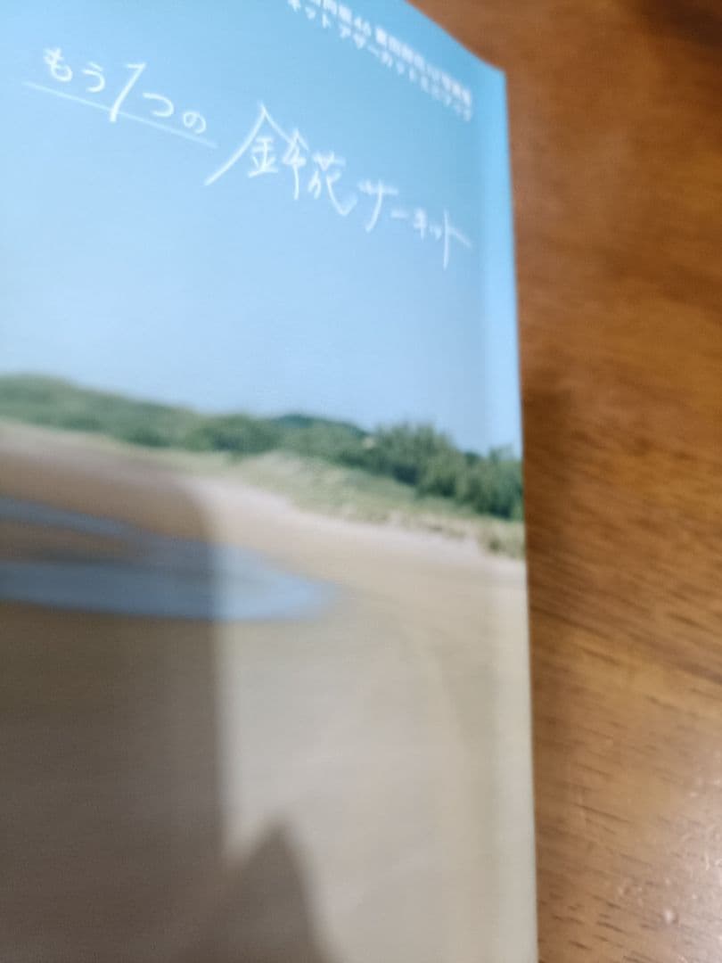 日向坂46 富田鈴花 1st写真集 鈴花サーキット アザーカットミニブック