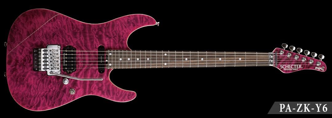 SCHECTER PA-ZK-Y6 小林信一モデル - メルカリ