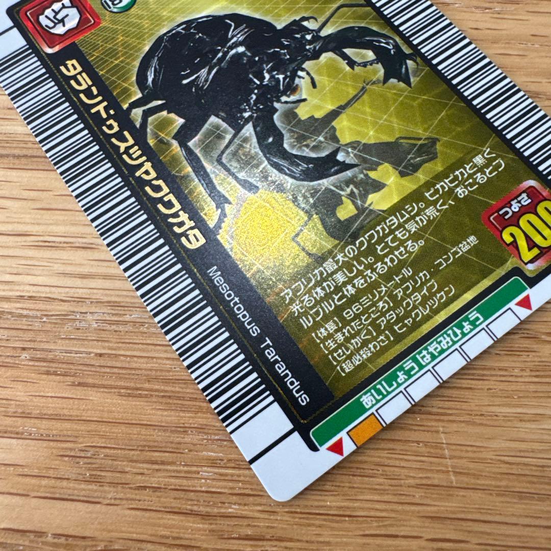 ムシキング タランドゥスツヤクワガタ 1億枚突破記念【5738 - メルカリ