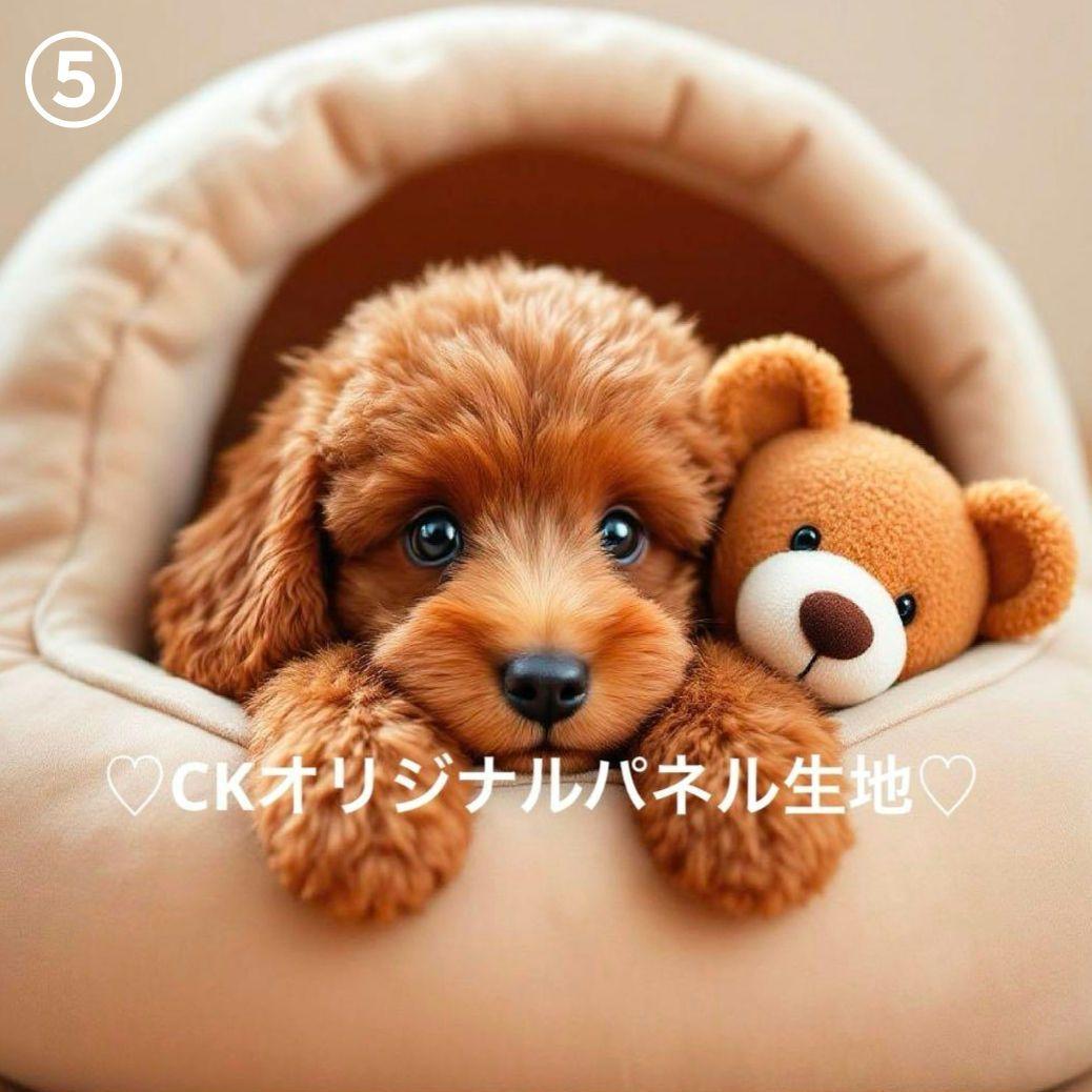 ハンドメイドオーダー受付ページ♡トイプードルパネル♡