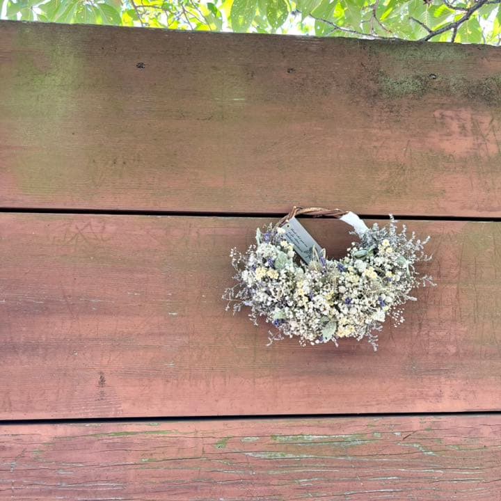 フレンチリース　かすみ草