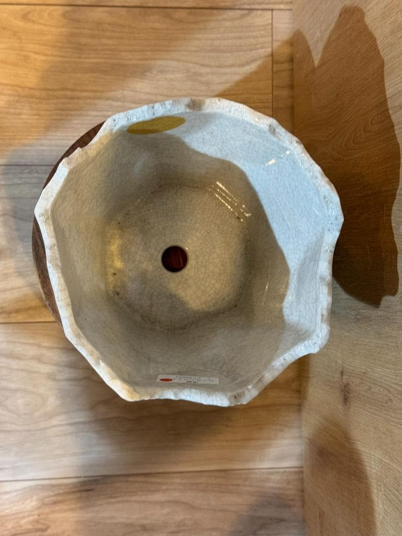 N/OH 澪標 山ノ月 ホワイト Lサイズ