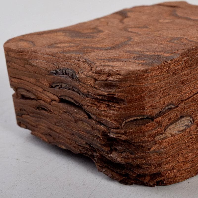 茶道具 松皮香合 表千家 十二代 宗左（惺斎）花押 共箱 V 8834 - メルカリ