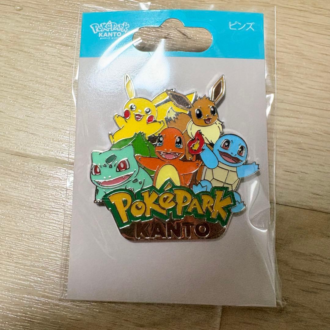 ポケパークカントー ピンズ 御三家 ピカチュウ イーブイ 限定商品