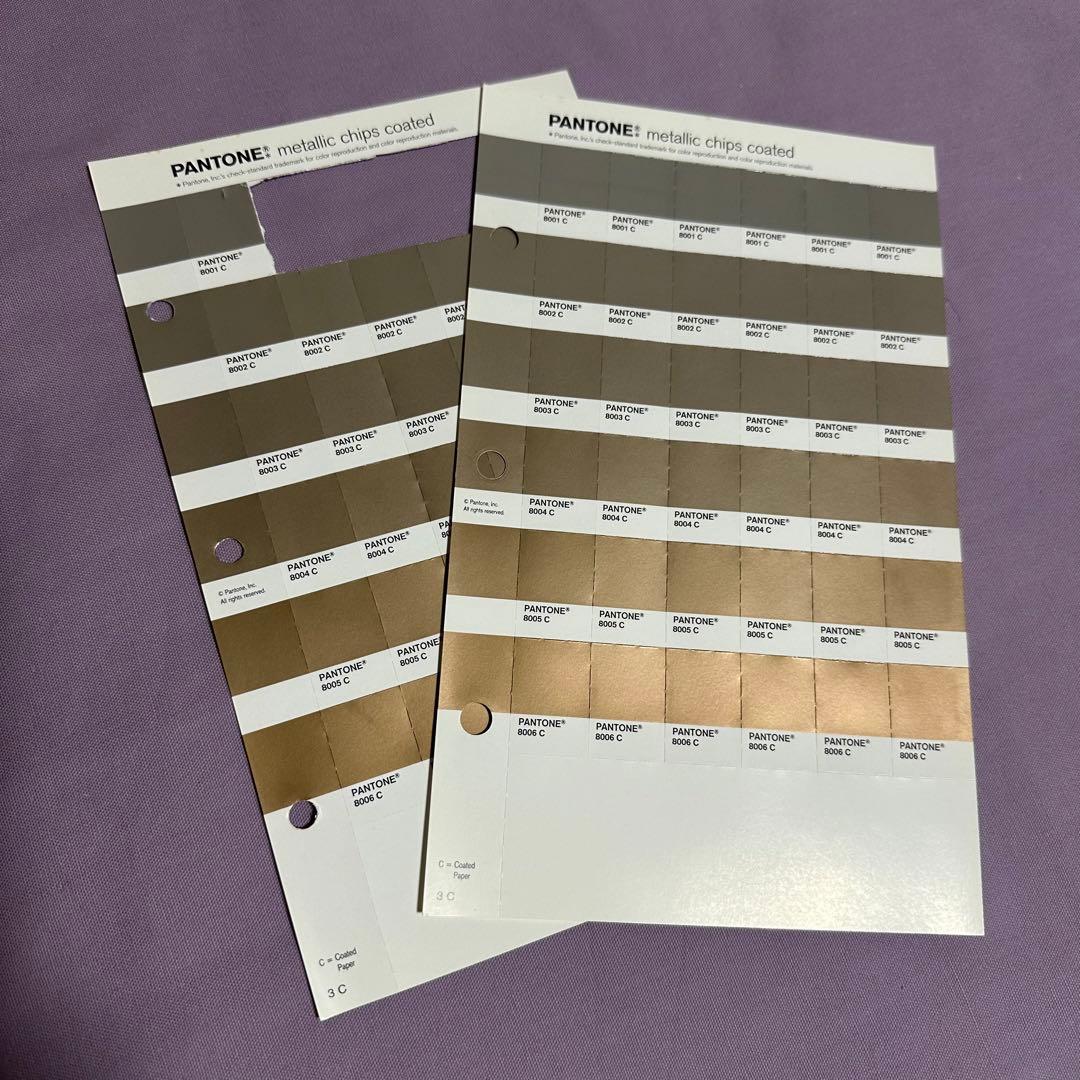 早い者勝ち！】パントンメタリックチップスコート/正規品中古保管品