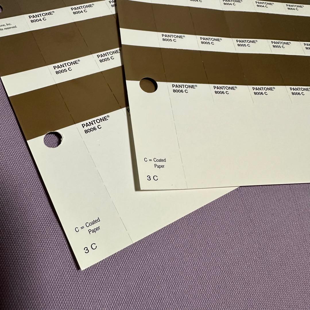 早い者勝ち！】パントンメタリックチップスコート/正規品中古保管品