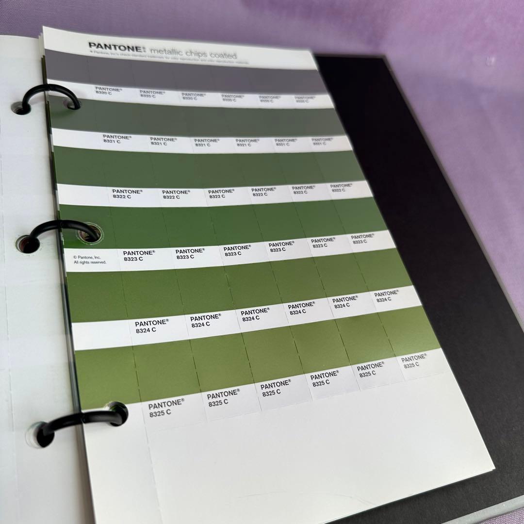 早い者勝ち！】パントンメタリックチップスコート/正規品中古保管品