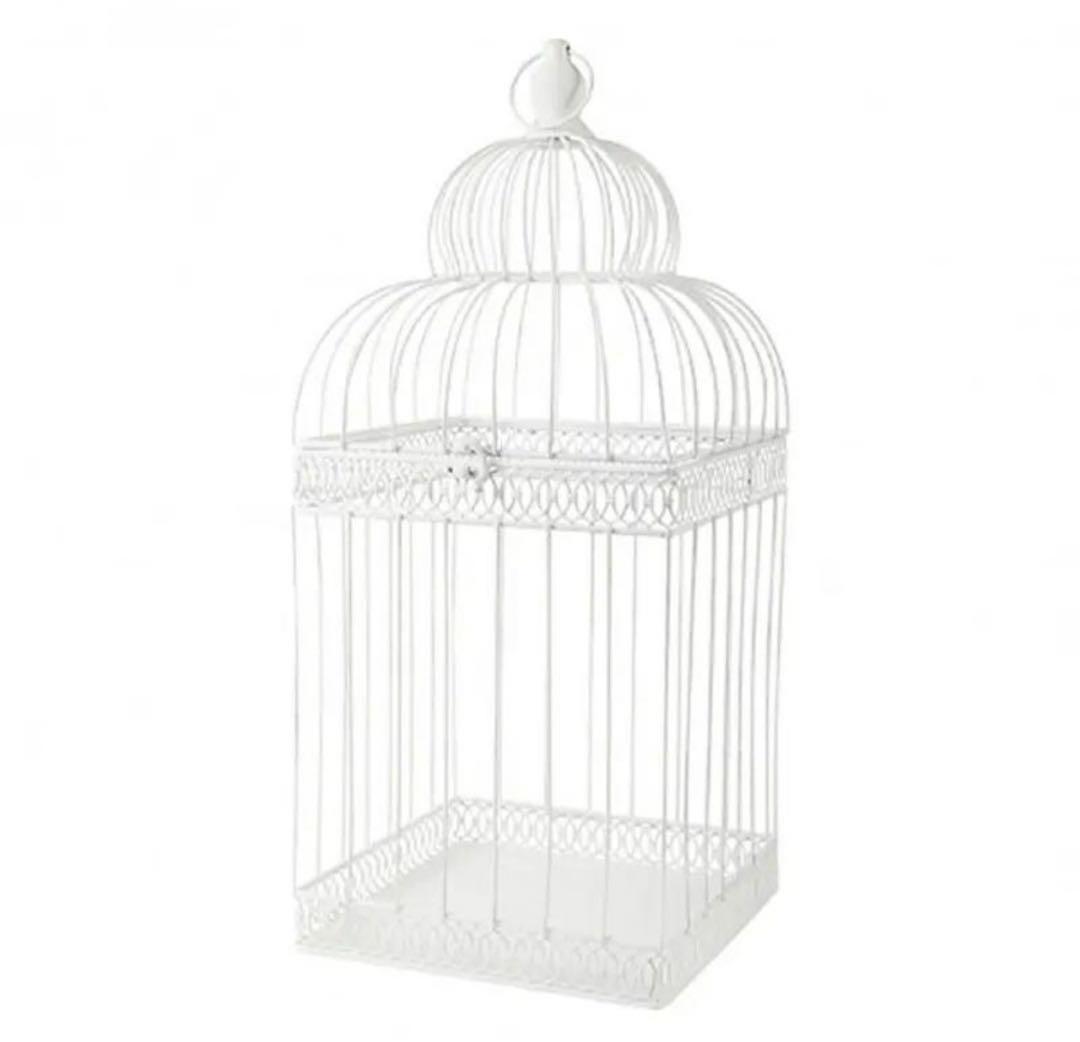 マルチドエム バードゲージ