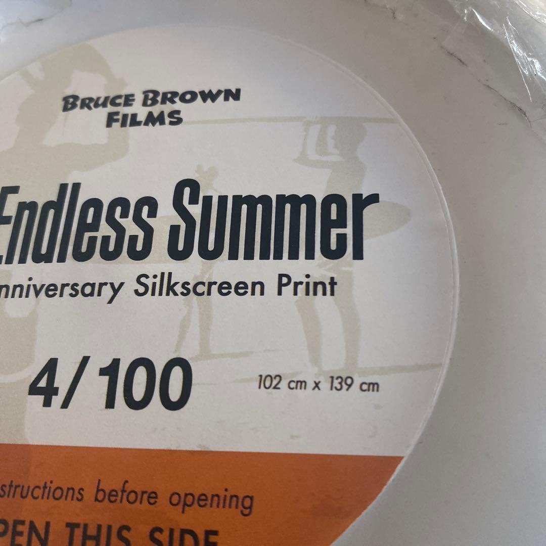 ザ・エンドレス・サマー XL TES Endless Summer XL