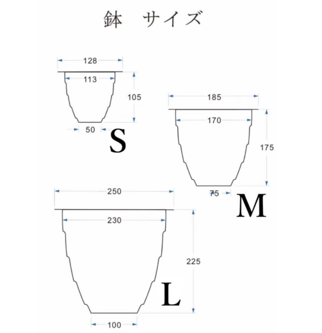 Masses マシス type1 Iron