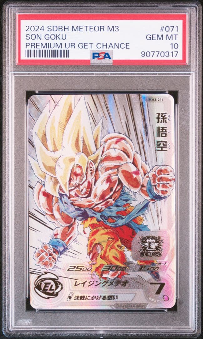 PSA10 孫悟空　2枚セット