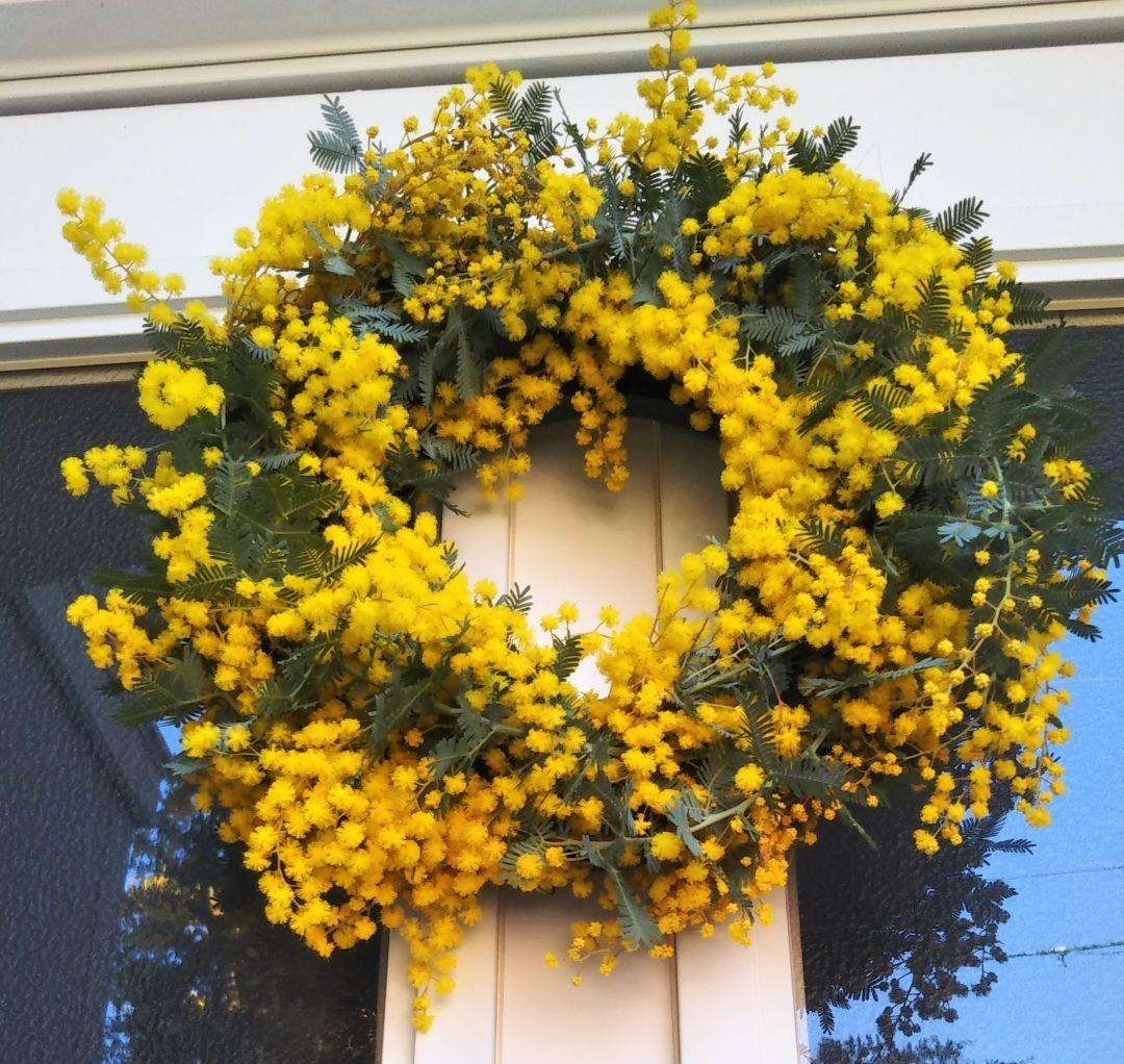 ☘2026年のフレッシュミモザリース・スワッグ☘　予約・問合せ