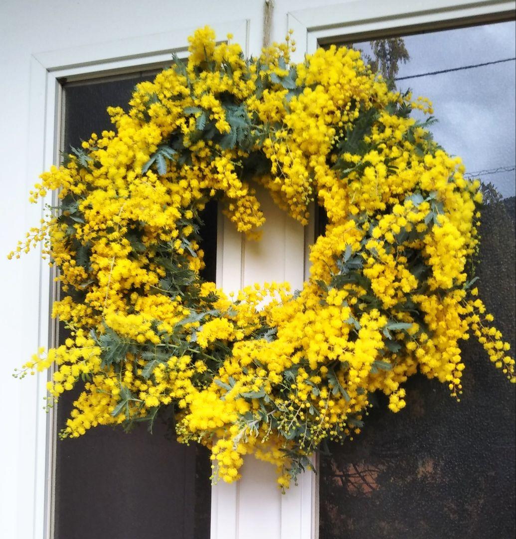 ☘2026年のフレッシュミモザリース・スワッグ☘　予約・問合せ