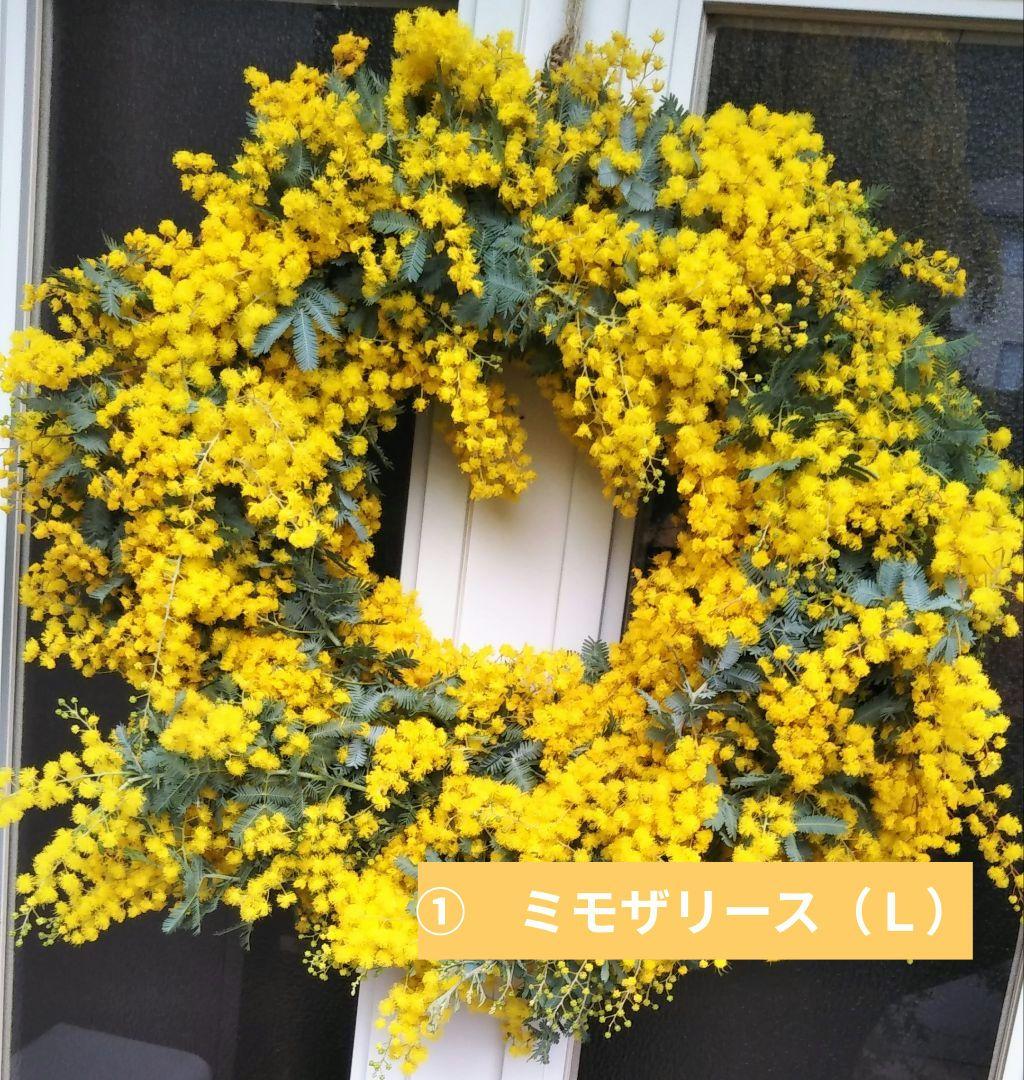 ☘2026年のフレッシュミモザリース・スワッグ☘　予約・問合せ