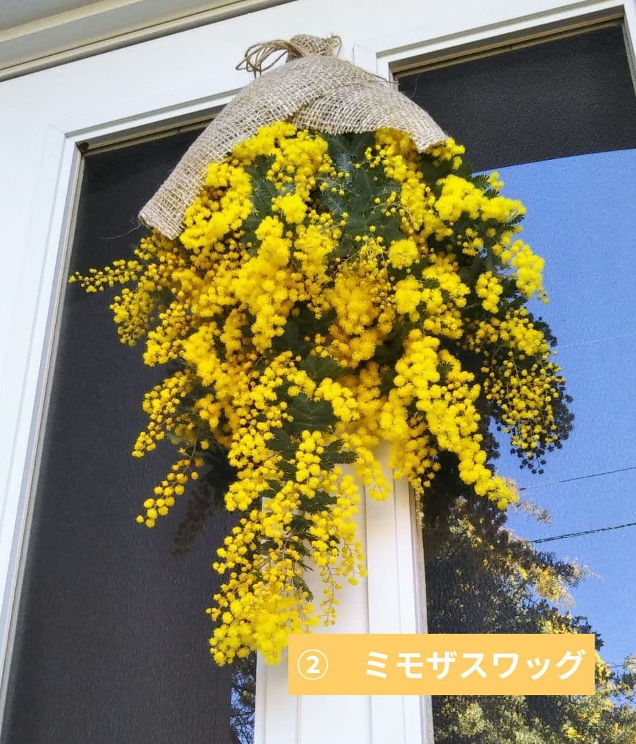 ☘2026年のフレッシュミモザリース・スワッグ☘　予約・問合せ