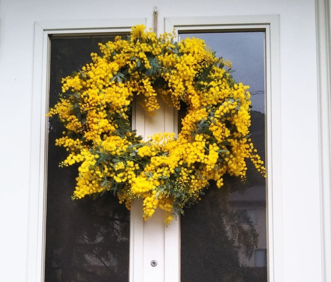 ☘2026年のフレッシュミモザリース・スワッグ☘　予約・問合せ