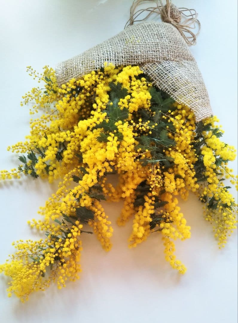 ☘2026年のフレッシュミモザリース・スワッグ☘　予約・問合せ