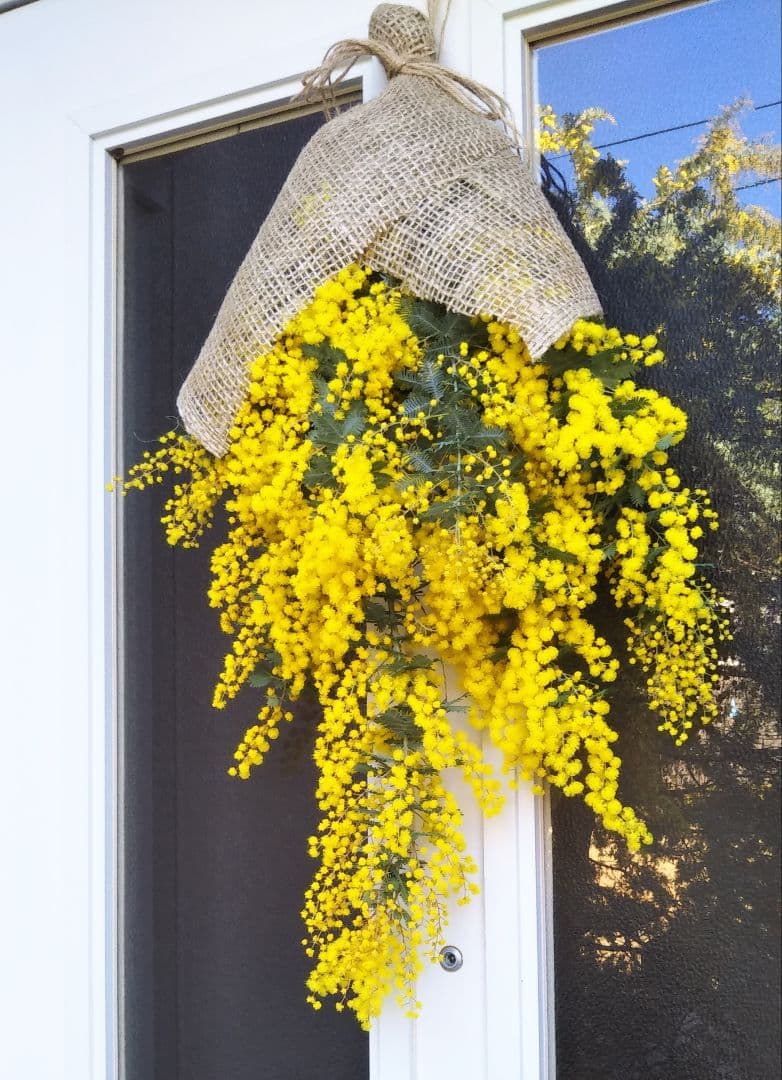 ☘2026年のフレッシュミモザリース・スワッグ☘　予約・問合せ