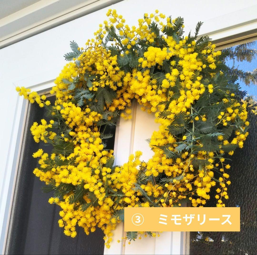 ☘2026年のフレッシュミモザリース・スワッグ☘　予約・問合せ