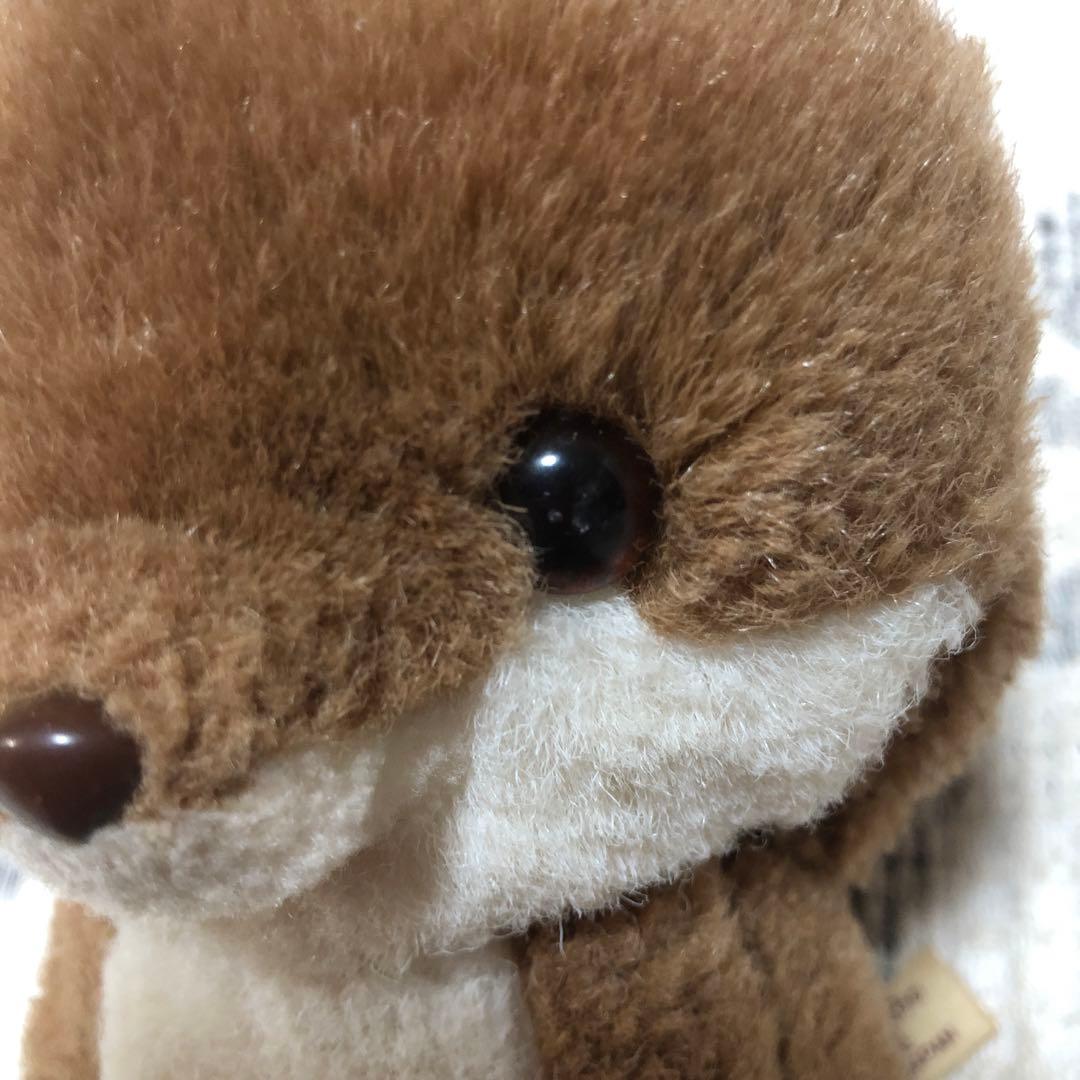 ぬいぐるみの三英 キタキツネ チロンノプ ぬいぐるみ 中古品 ① - メルカリ