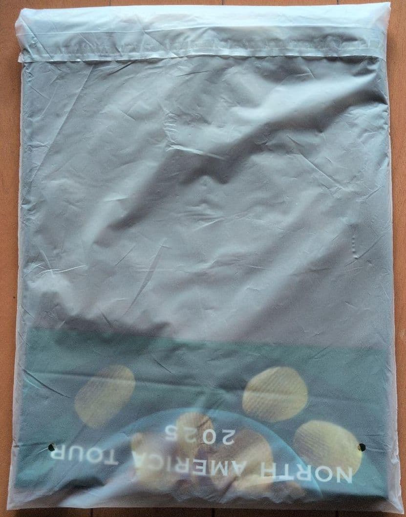 藤井風 ポテチTシャツ L 2025年ツアー限定色(seaweed) - メルカリ