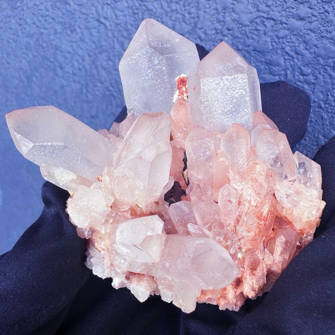 爆アレ❗️可愛いピンク♡超綺麗マダガスカル産パイナップルピンククラスターA1470