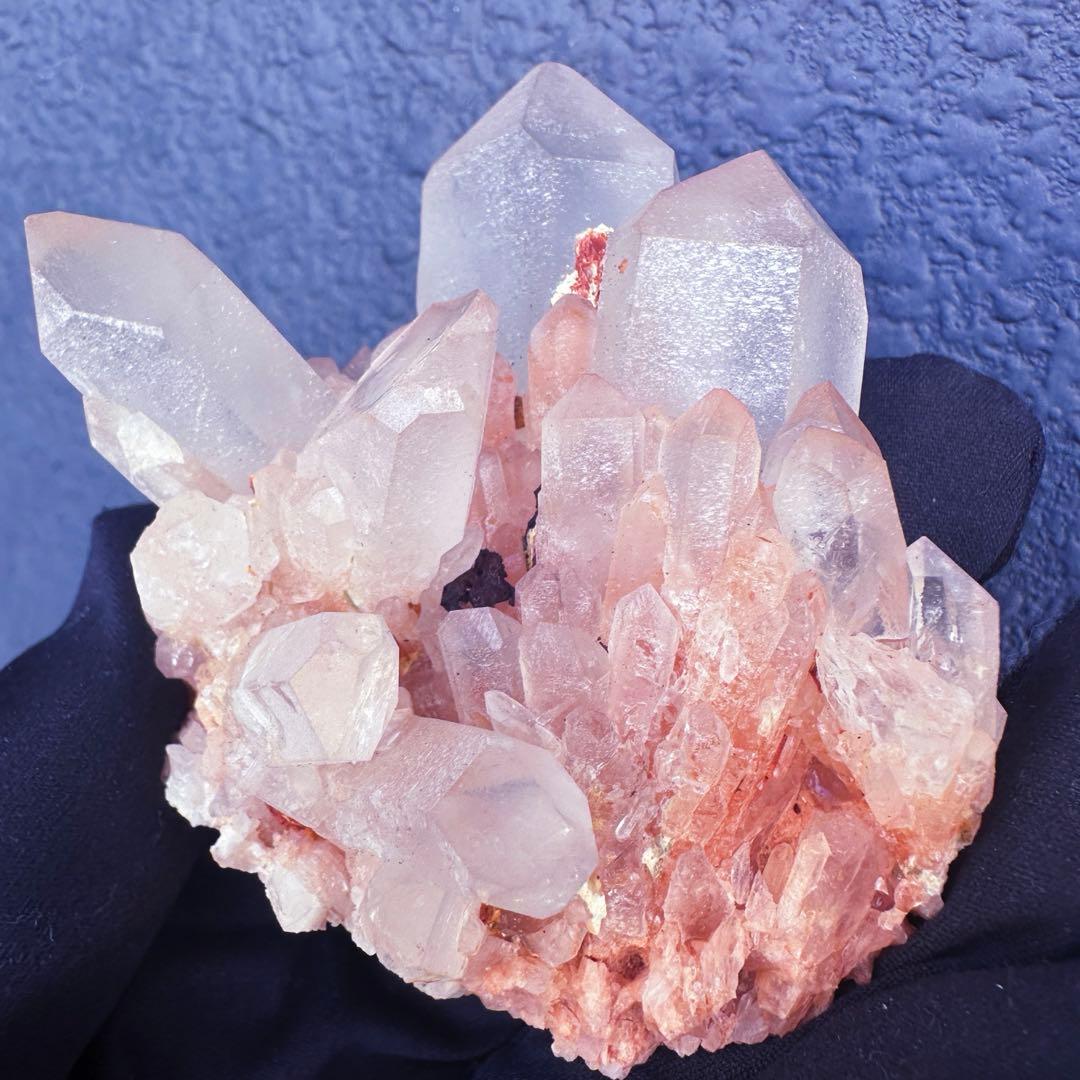 爆アレ❗️可愛いピンク♡超綺麗マダガスカル産パイナップルピンククラスターA1470