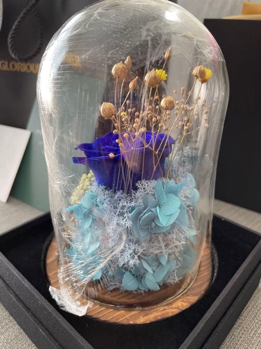 ❣️限定1個❣️新品❣️14000円⁈ブリザードフラワーガラスケース薔薇