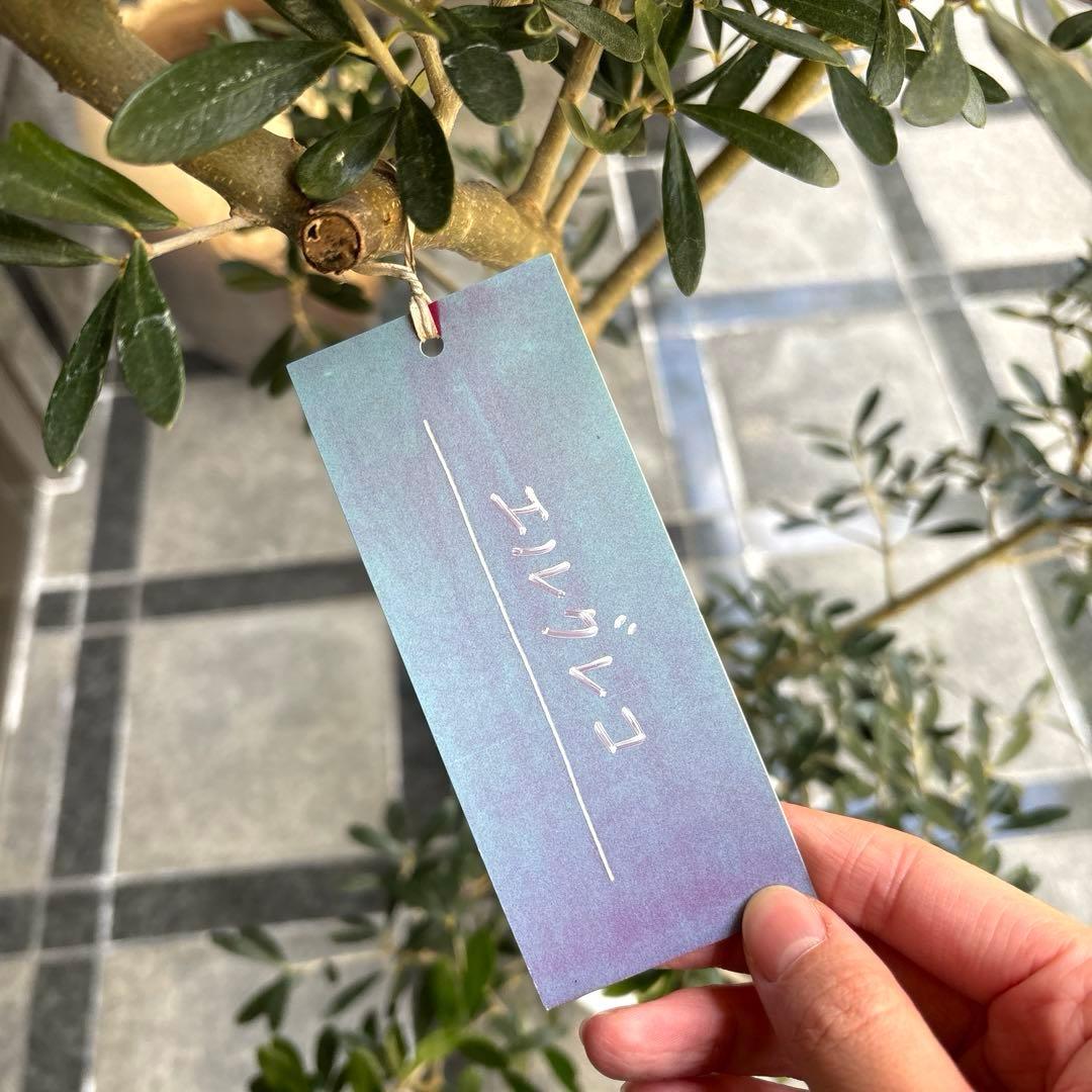 エルグレコ　オリーブの木　8号　1メートル30センチ