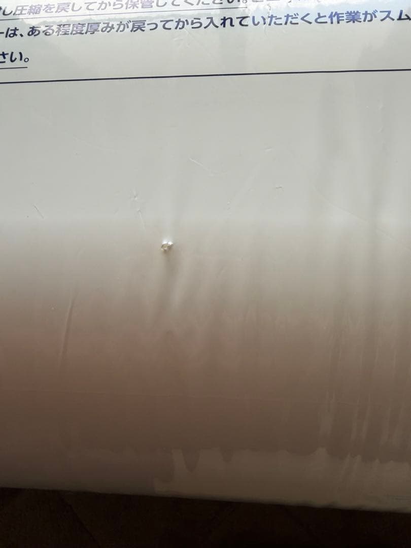 トゥルースリーパー プ　マットレス＋カバー【未使用】