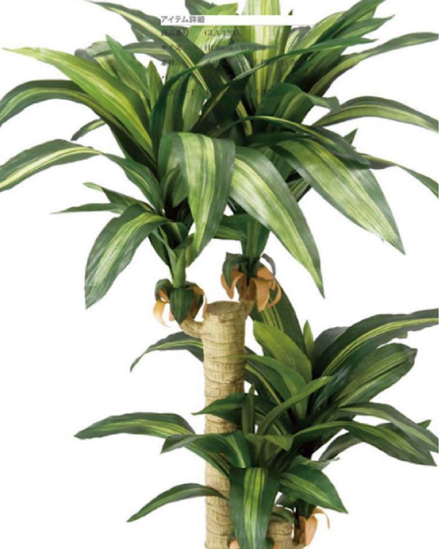 光触媒　人工観葉植物　ウォールグリーン　フェイクグリーン　幸福の木マッサン