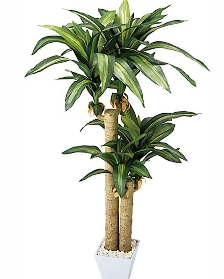 光触媒　人工観葉植物　ウォールグリーン　フェイクグリーン　幸福の木マッサン