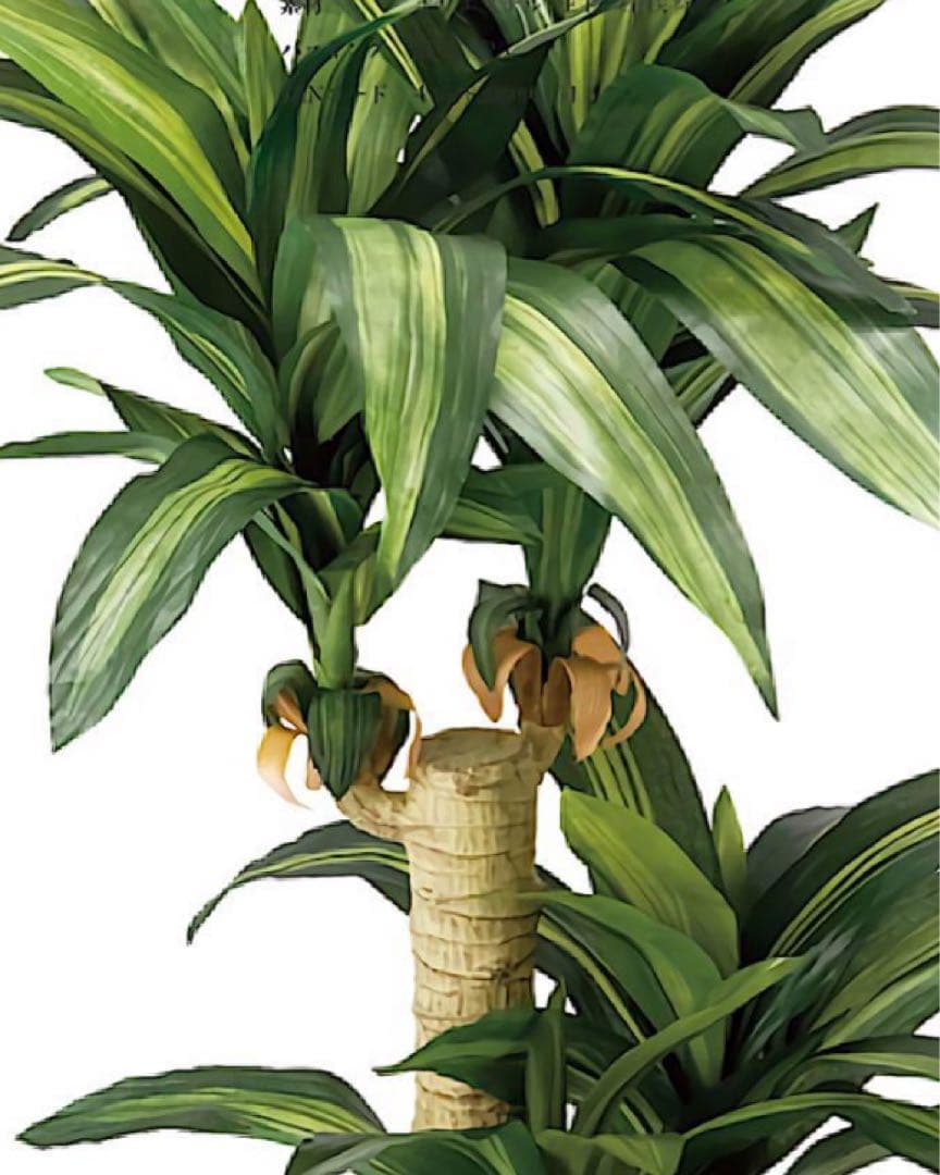 光触媒　人工観葉植物　ウォールグリーン　フェイクグリーン　幸福の木マッサン