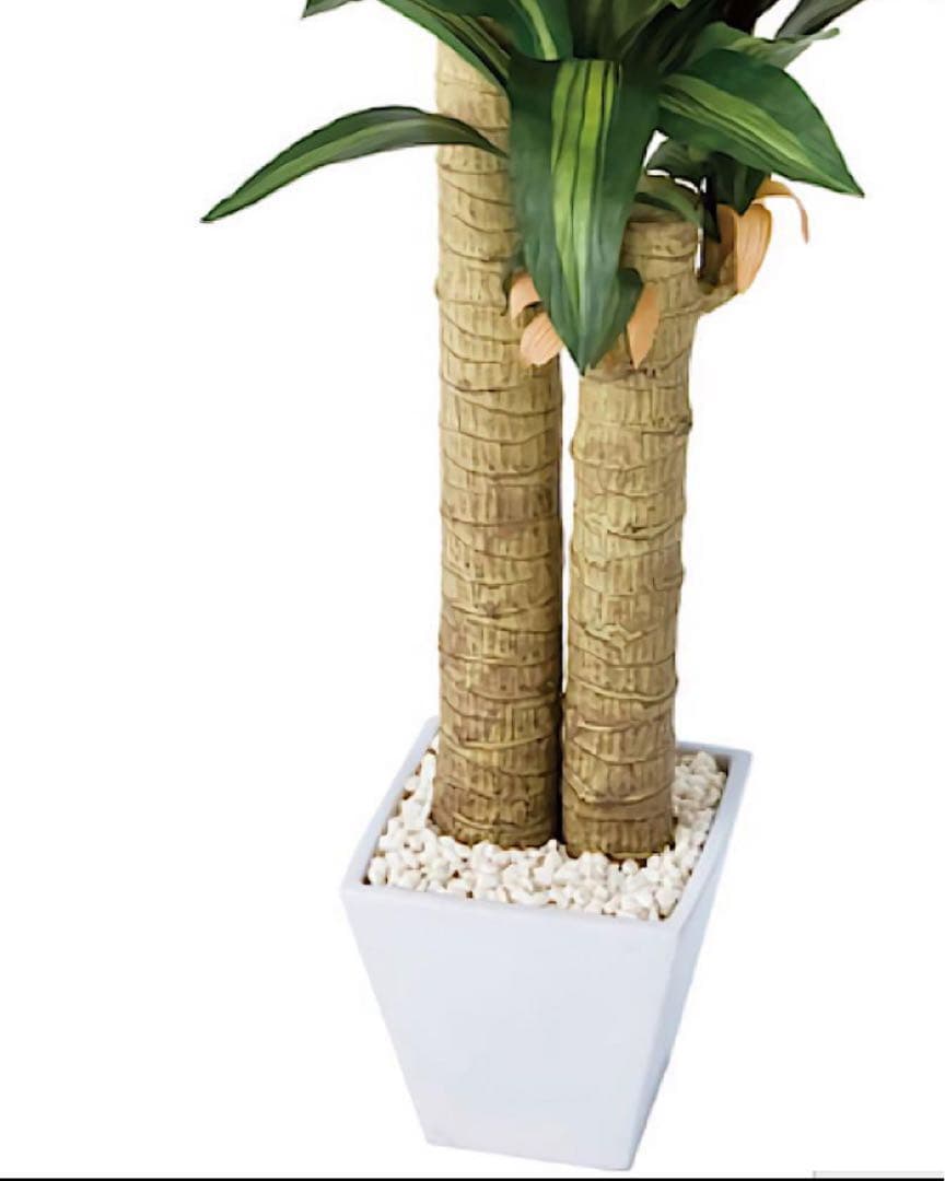 光触媒　人工観葉植物　ウォールグリーン　フェイクグリーン　幸福の木マッサン