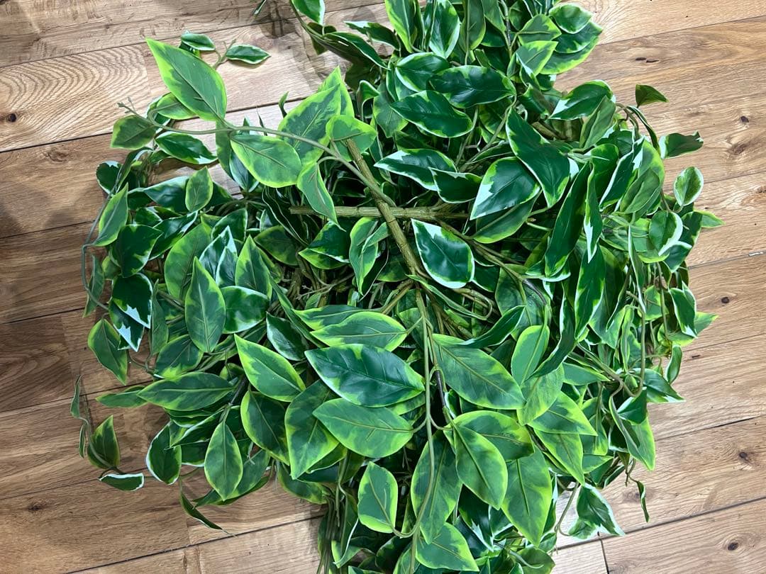 【東京堂】フェイクグリーン　10本セット