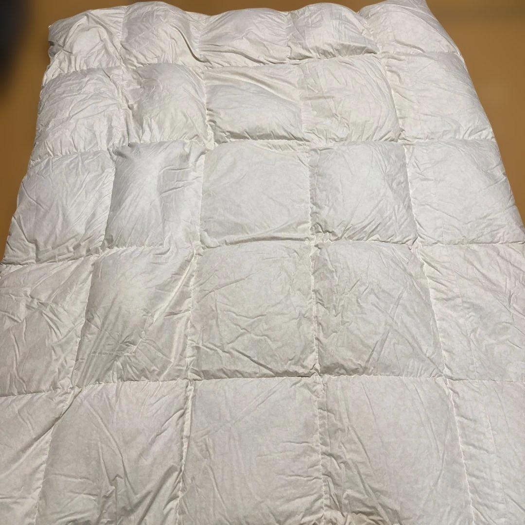 セミダブルロング ダウン/フェザー 掛け布団 花柄ホワイト