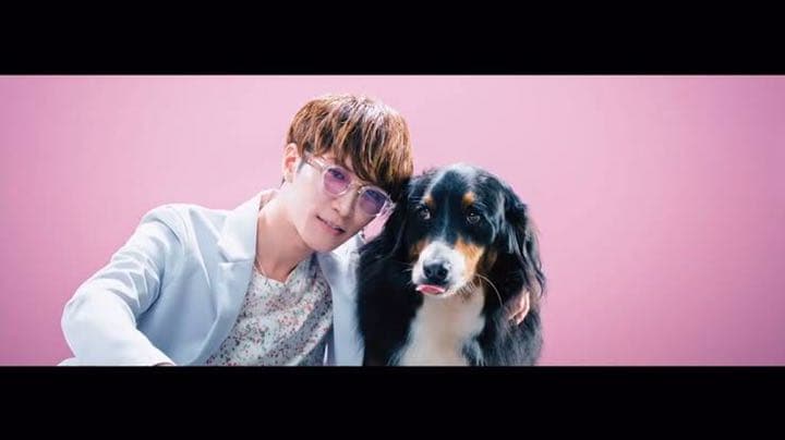 ネップリ（no.さん専用)