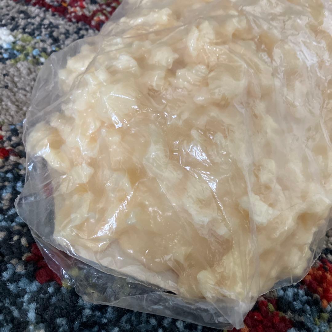 【みやさま専用】脂肪模型　2kg