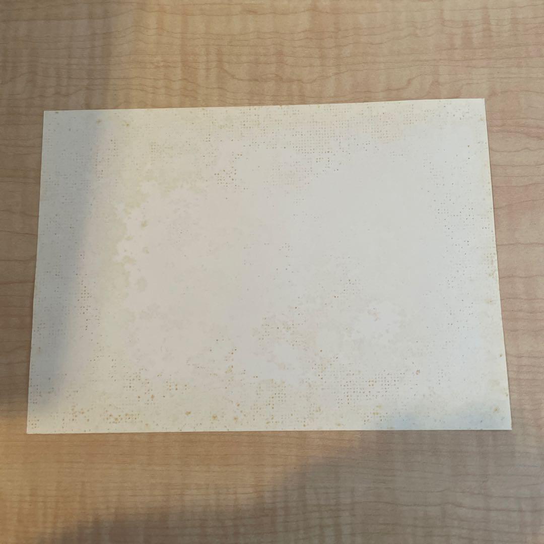 写真入れ フォトフレーム 額縁 花柄 チューリップ 写真立て