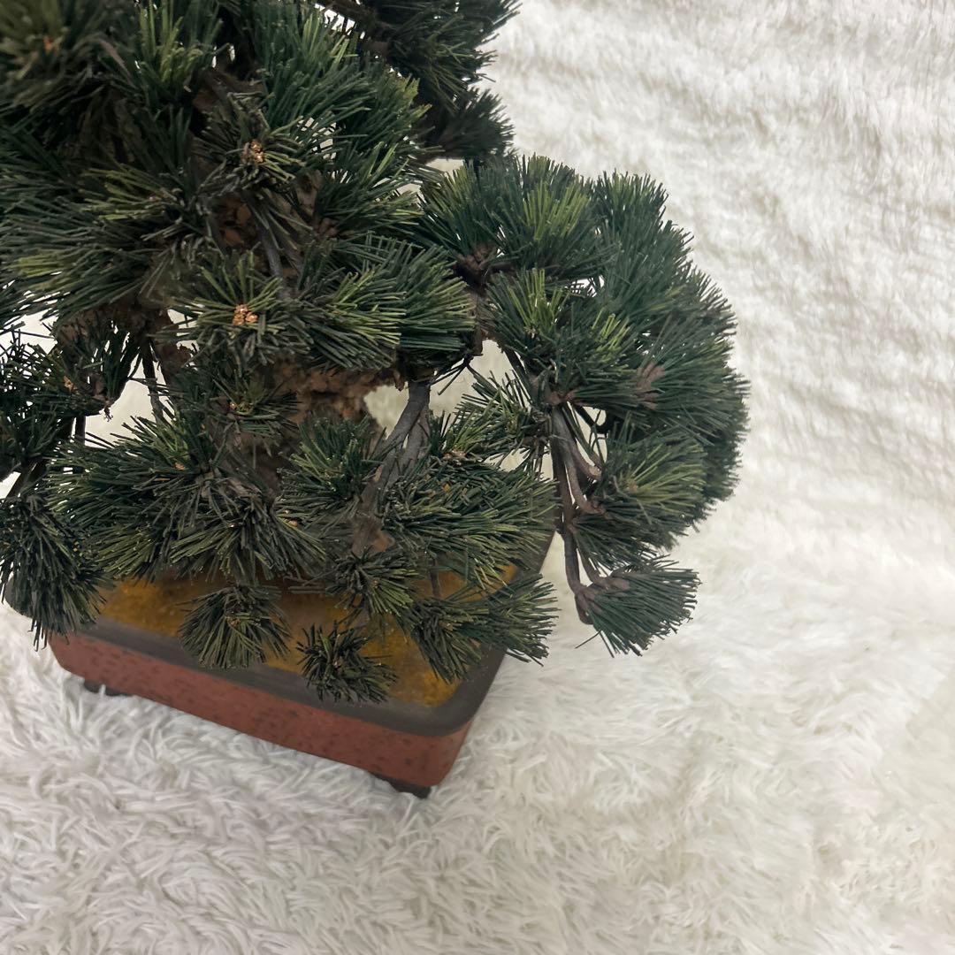 【美品】造花 盆栽 レプリカ 松　ビッグサイズ