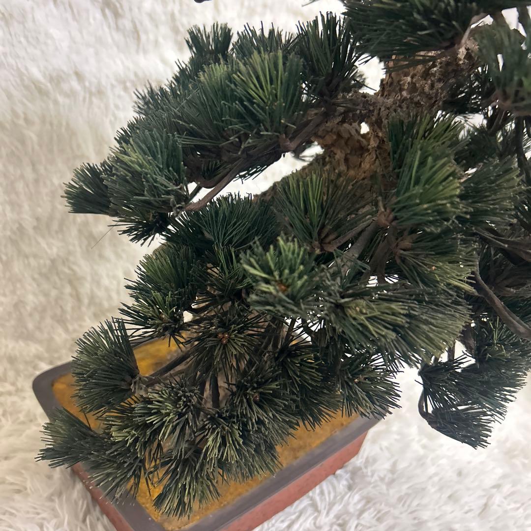 【美品】造花 盆栽 レプリカ 松　ビッグサイズ