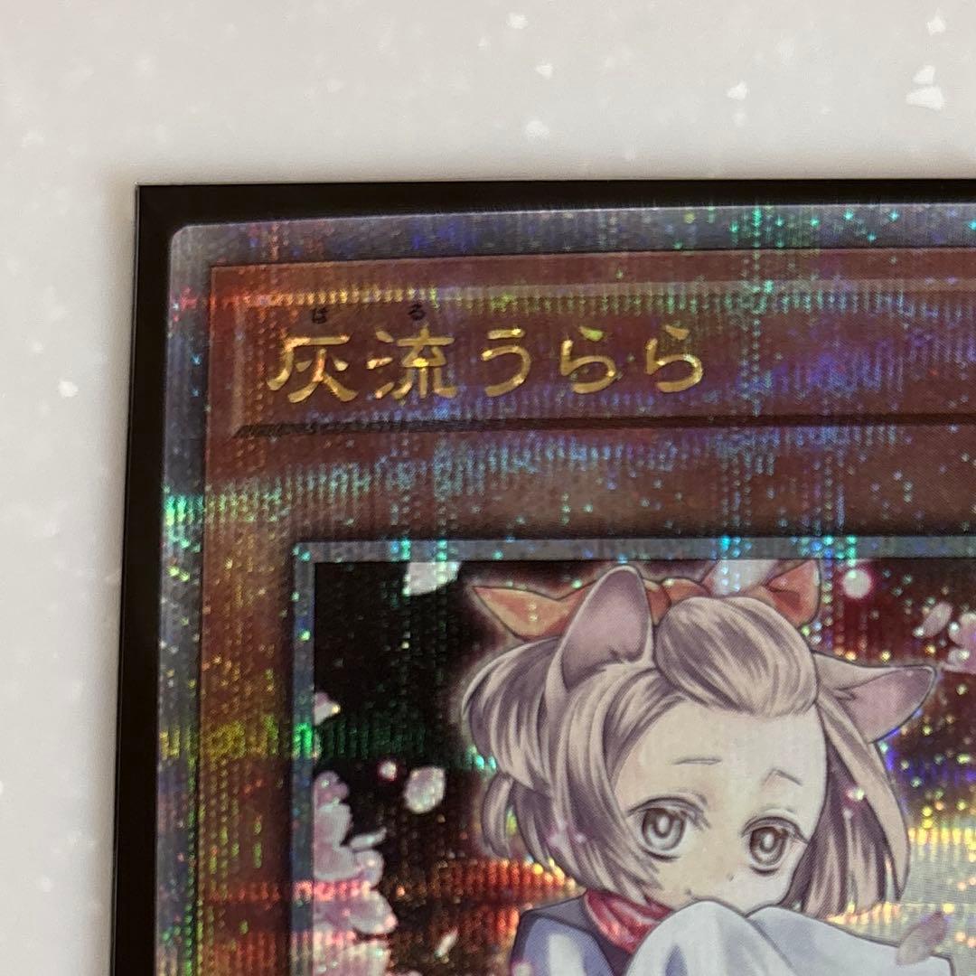遊戯王　灰流うらら　25thシークレットレア　絵違い