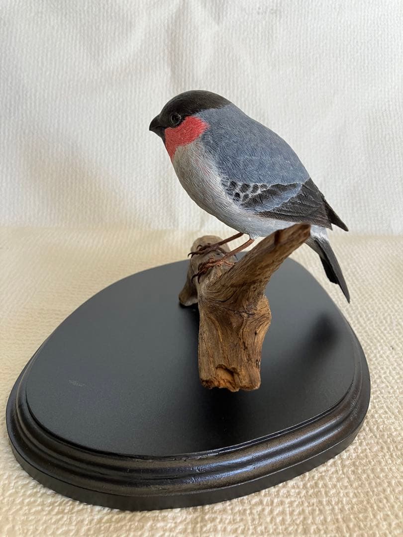 バードカービング(ウソ)