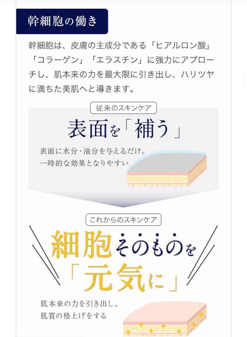 湘南美容クリニック SBC MEDISPA ギフトBOX