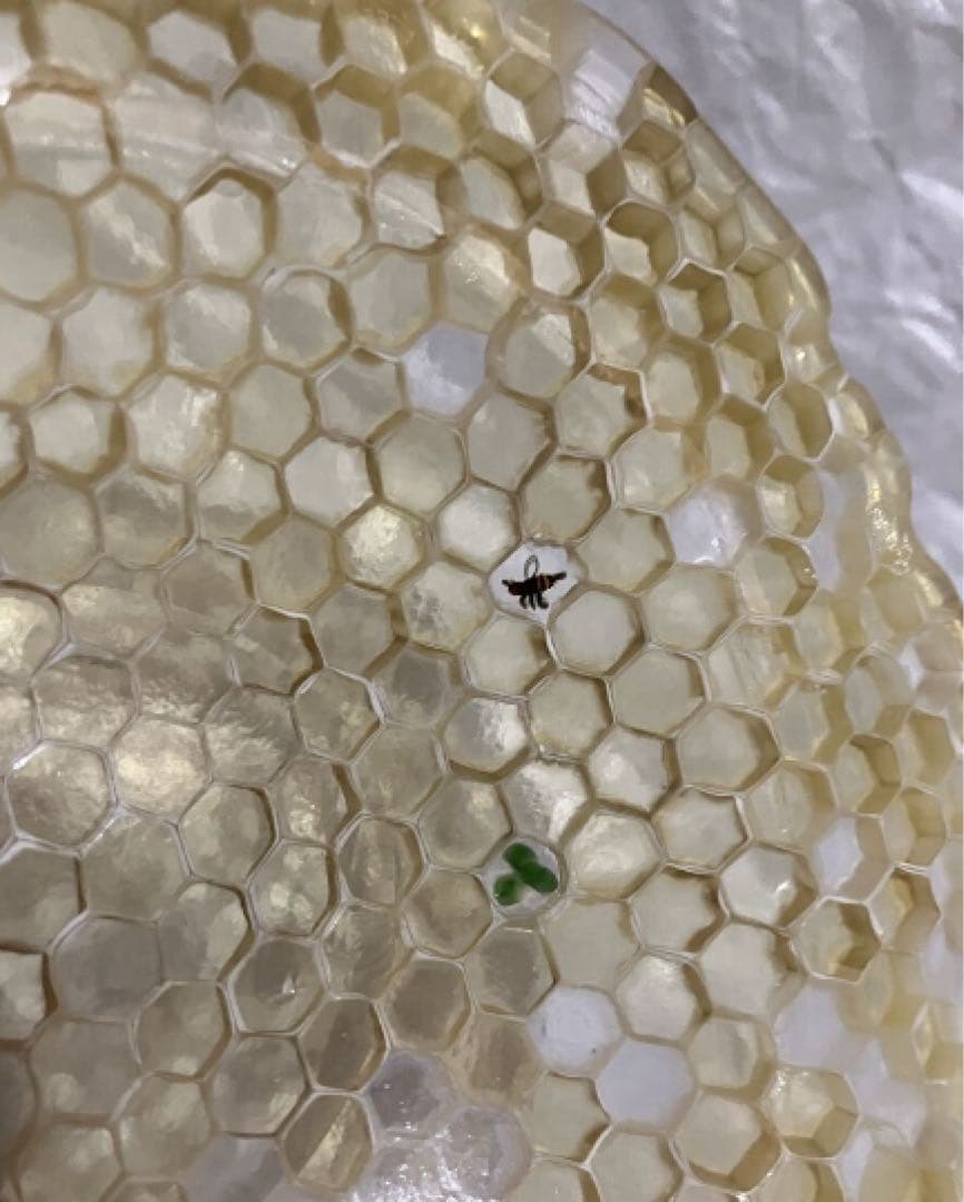 江波冨士子　皿　レア　入手困難